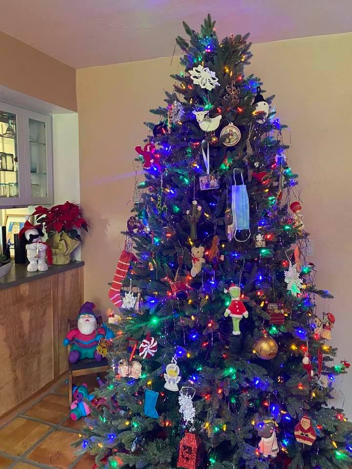 Un sapin de Noël est visible dans la maison de Nancy Guthrie à Tucson, en Arizona, datée de 2020 | Source : Facebook/nancy.guthrie.31.