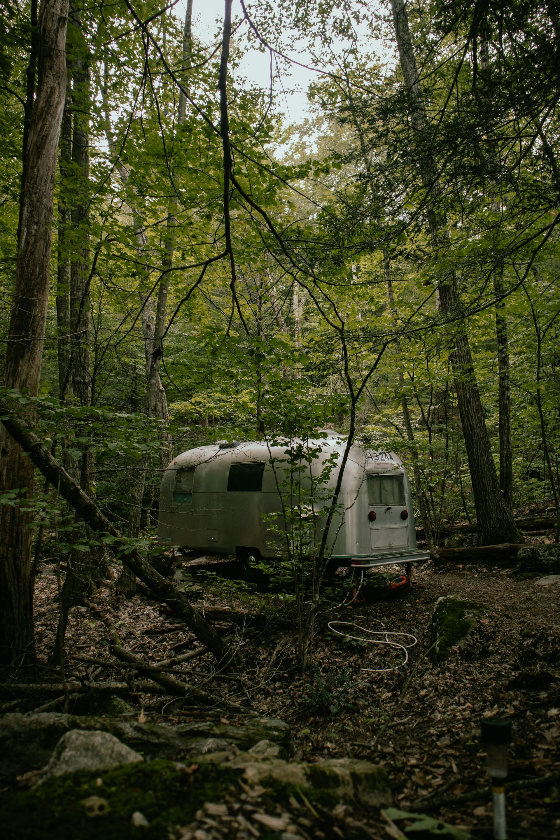 Une caravane dans une forêt | Source : Pexels