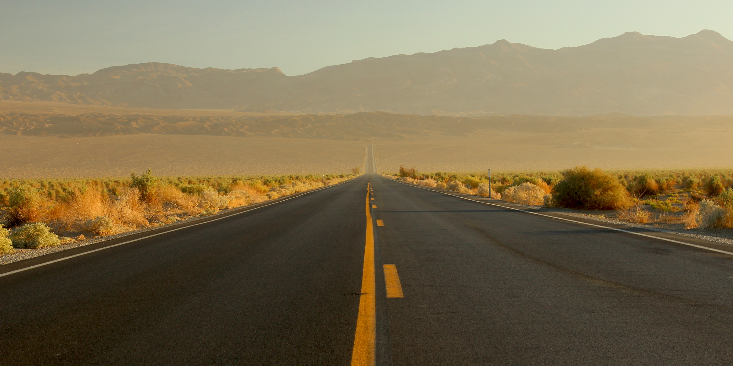 Un long chemin à parcourir | Source : Shutterstock