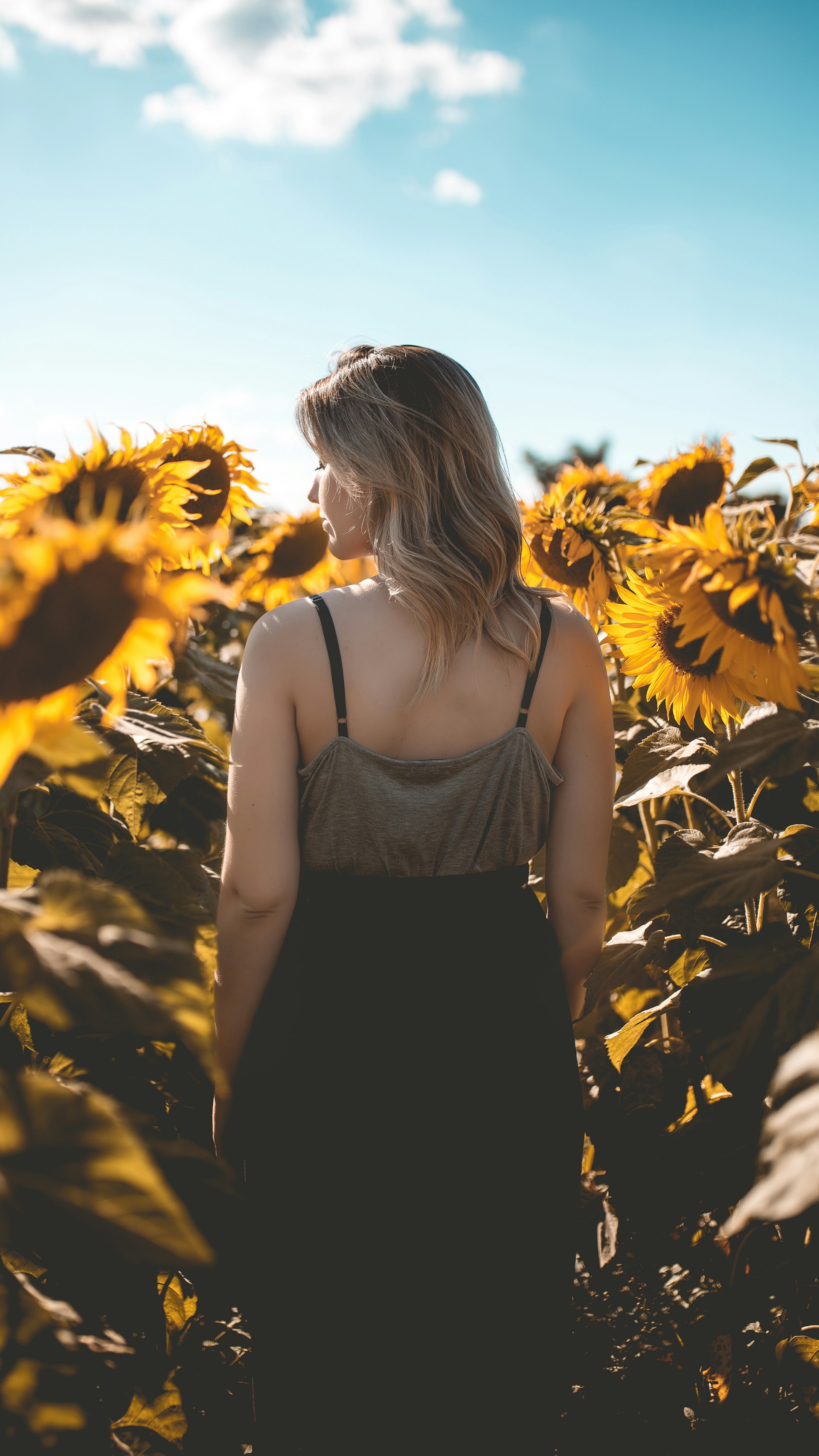 Une femme dans un champ de tournesols | Source : Unsplash