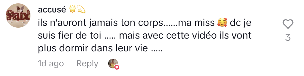 Commentaire d'internaute | Source : tiktok.com/@angeliqueafoff