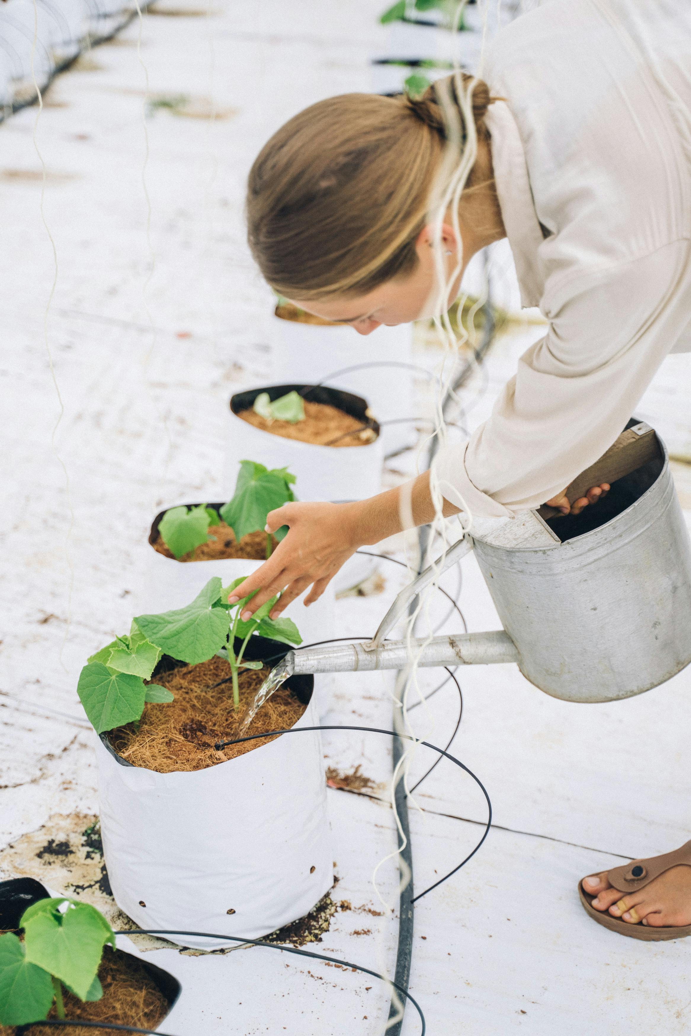 Une femme arrosant des plantes | Source : Pexels