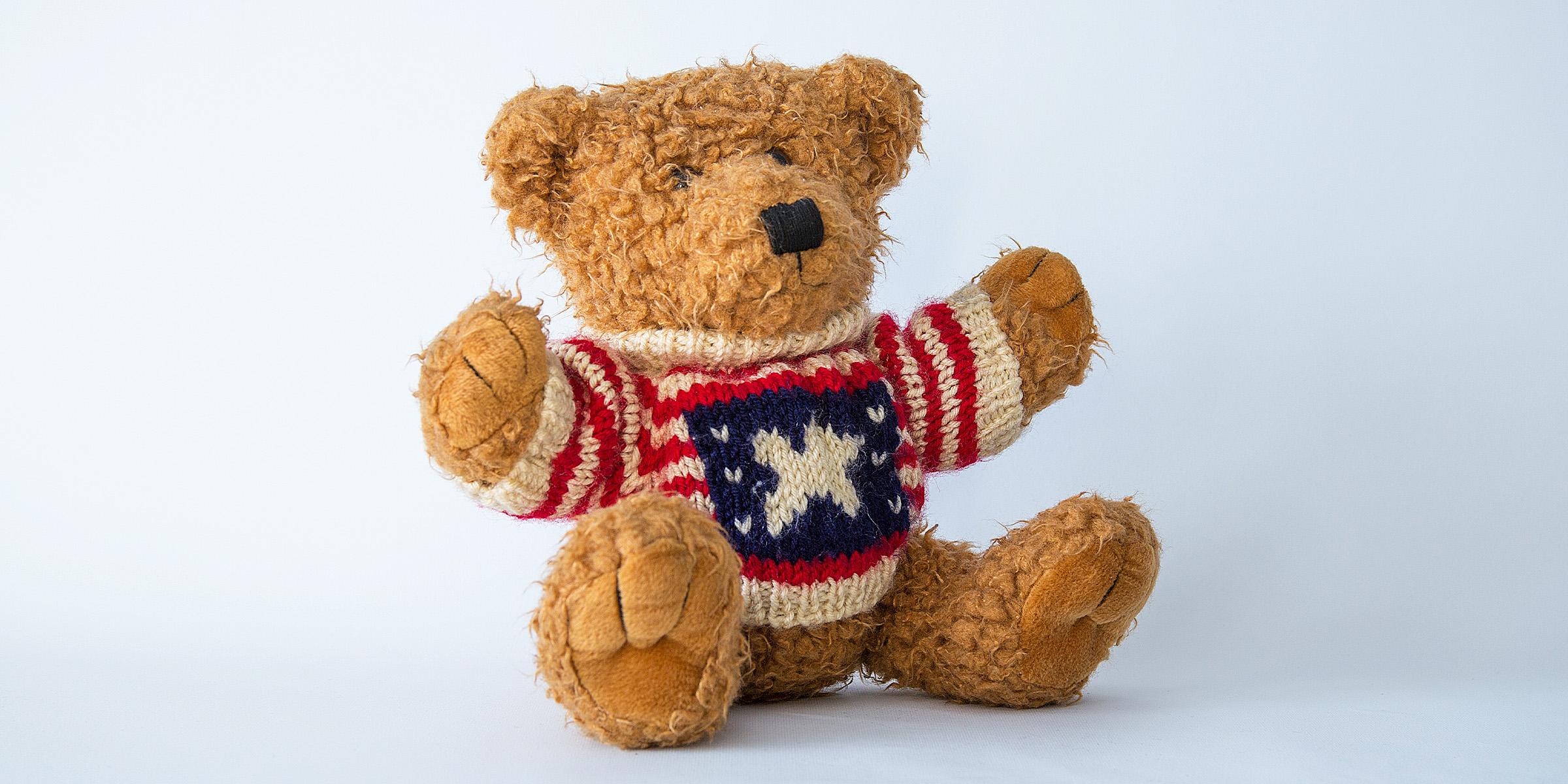 Un ours en peluche brun | Source : Shutterstock