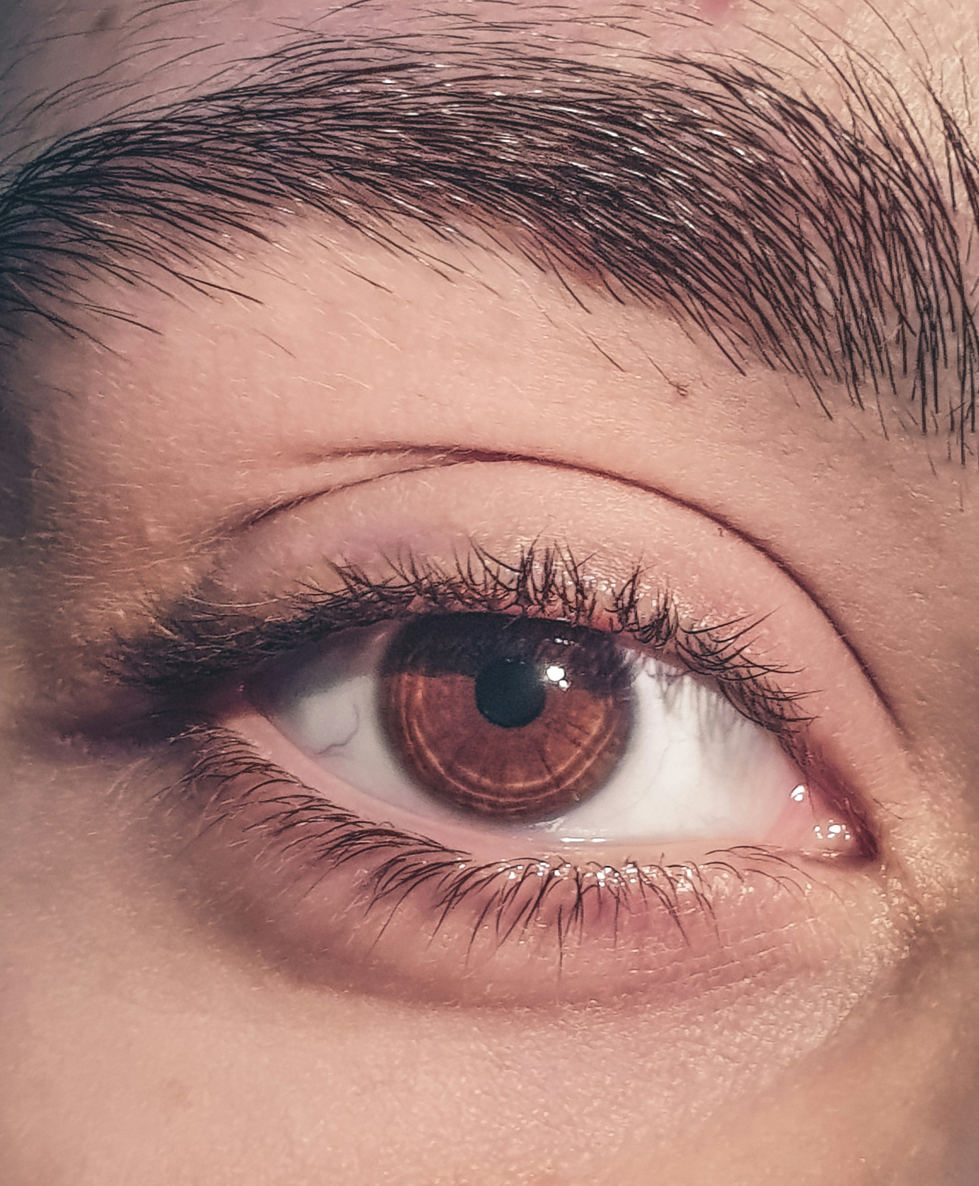 Gros plan sur des yeux bruns | Source : Unsplash