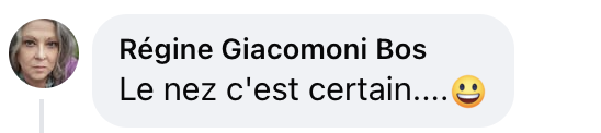 Commentaire d'une internaute sur la ressemblance entre Emmanuel et Laurent Macron | Source : Facebook/Le Figaro