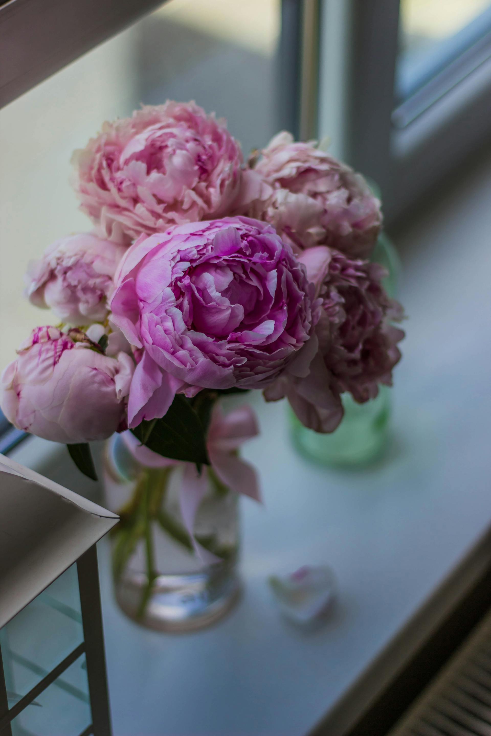 Fleurs roses dans un vase près d'une fenêtre | Source : Pexels
