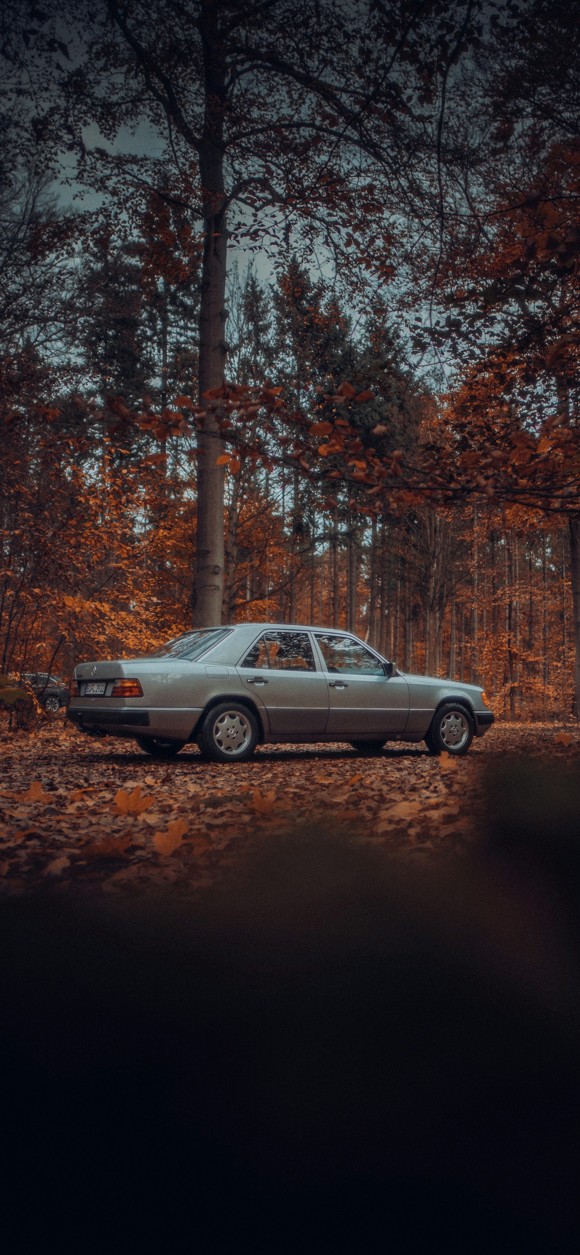 Une voiture garée dans un paysage dense | Source : Unsplash