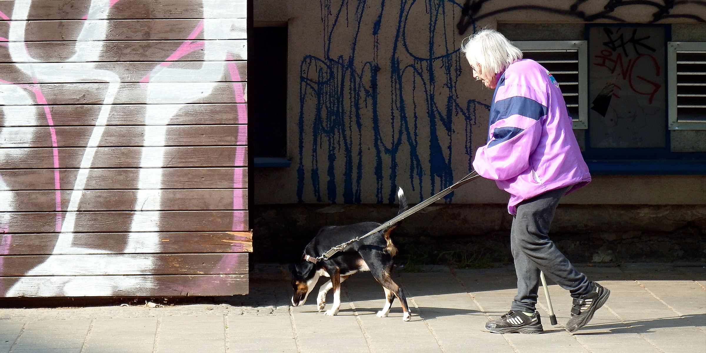 Une femme âgée qui promène son chien | Source : Flickr