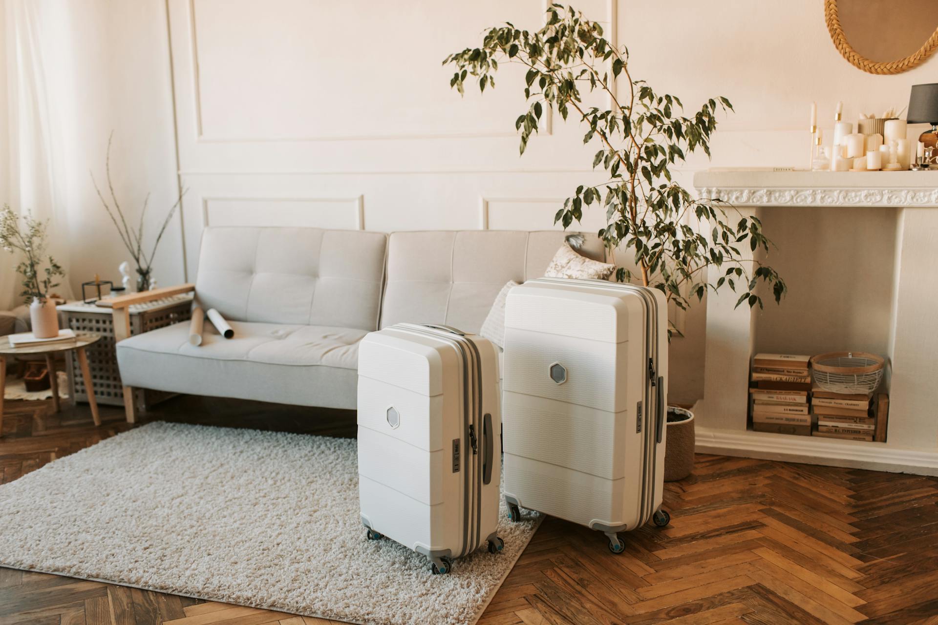 Des valises dans un salon | Source : Pexels