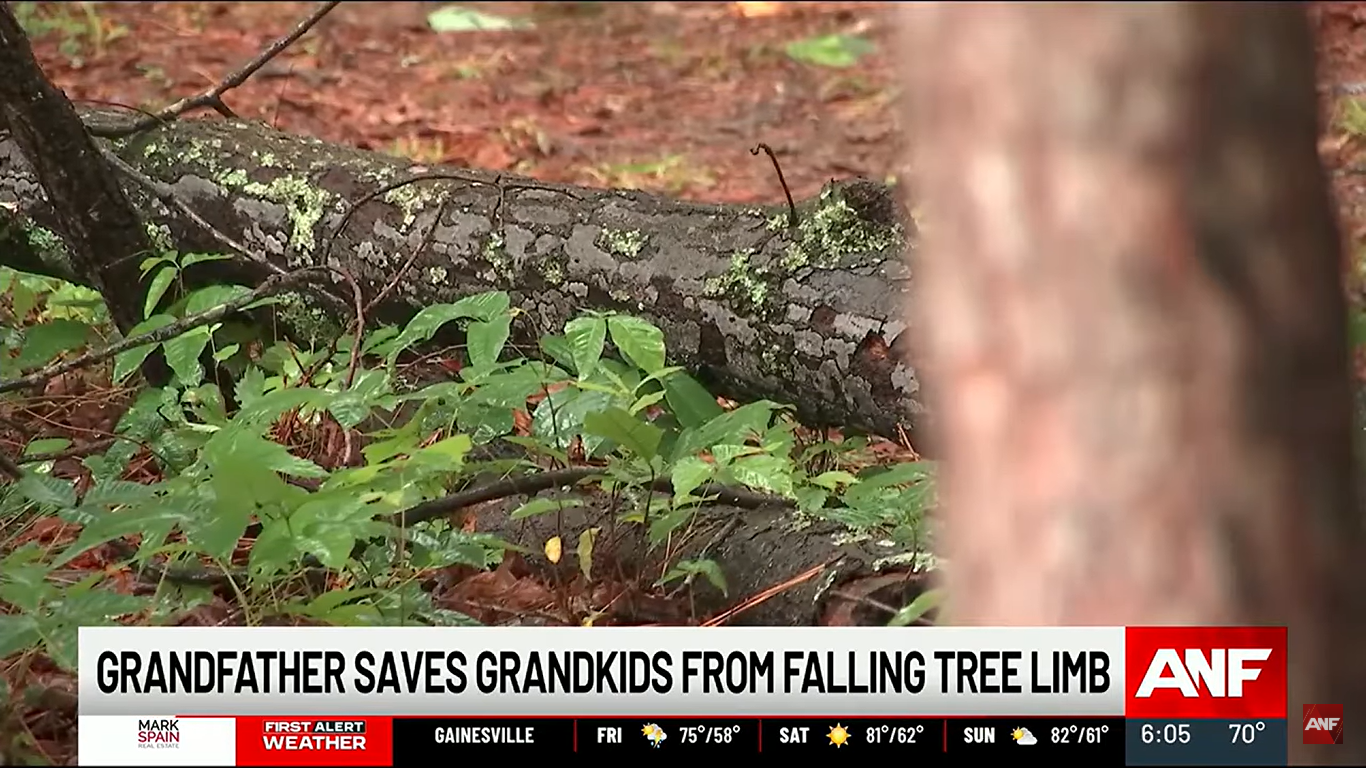 Une branche d'arbre au sol, datant de mai 2025 | Source : AtlantaNewsFirst