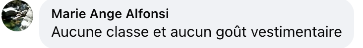 Capture d'écran du commentaire d'un internaute I Source : facebook.com/purepeople