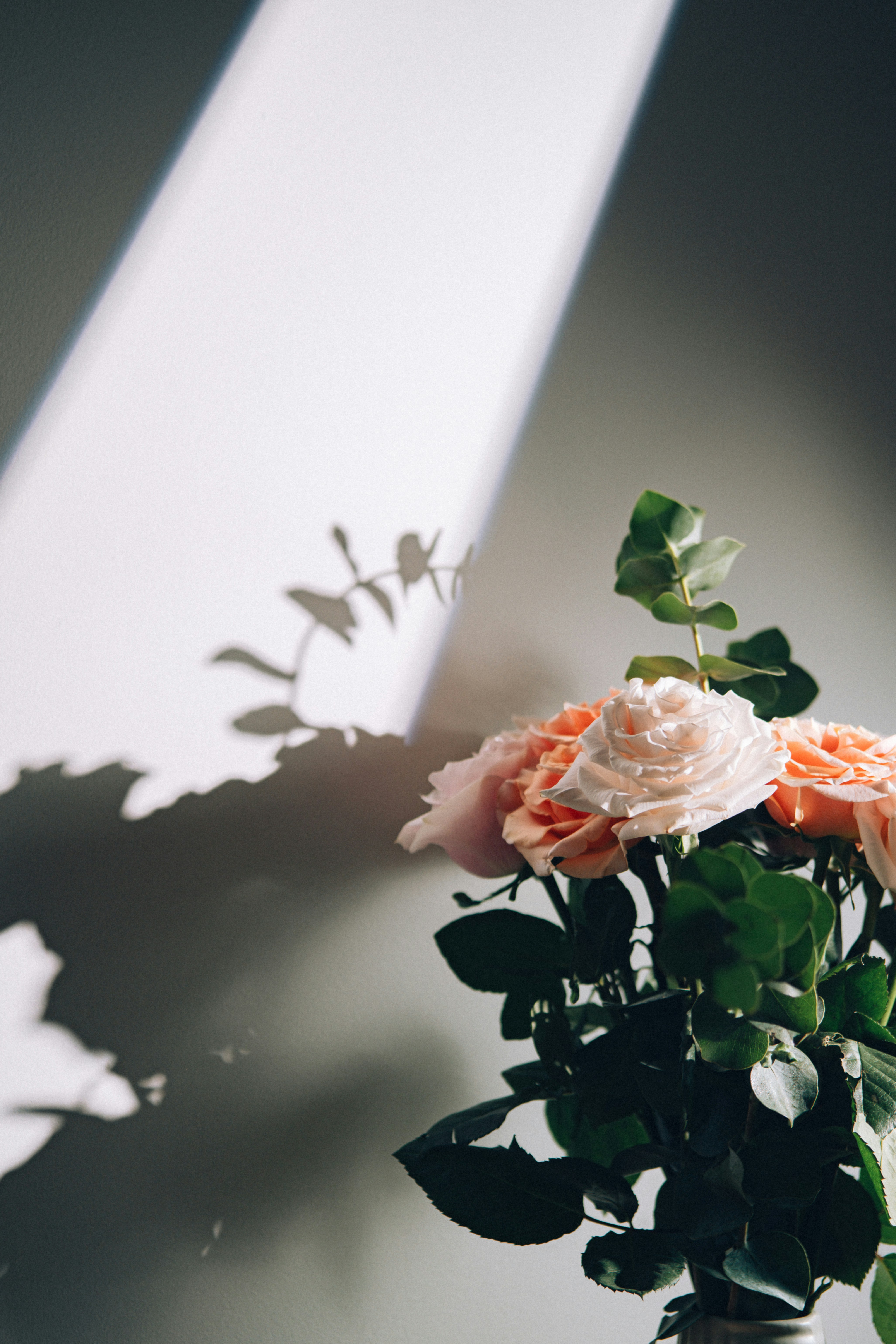 Gros plan sur une composition florale | Source : Unsplash