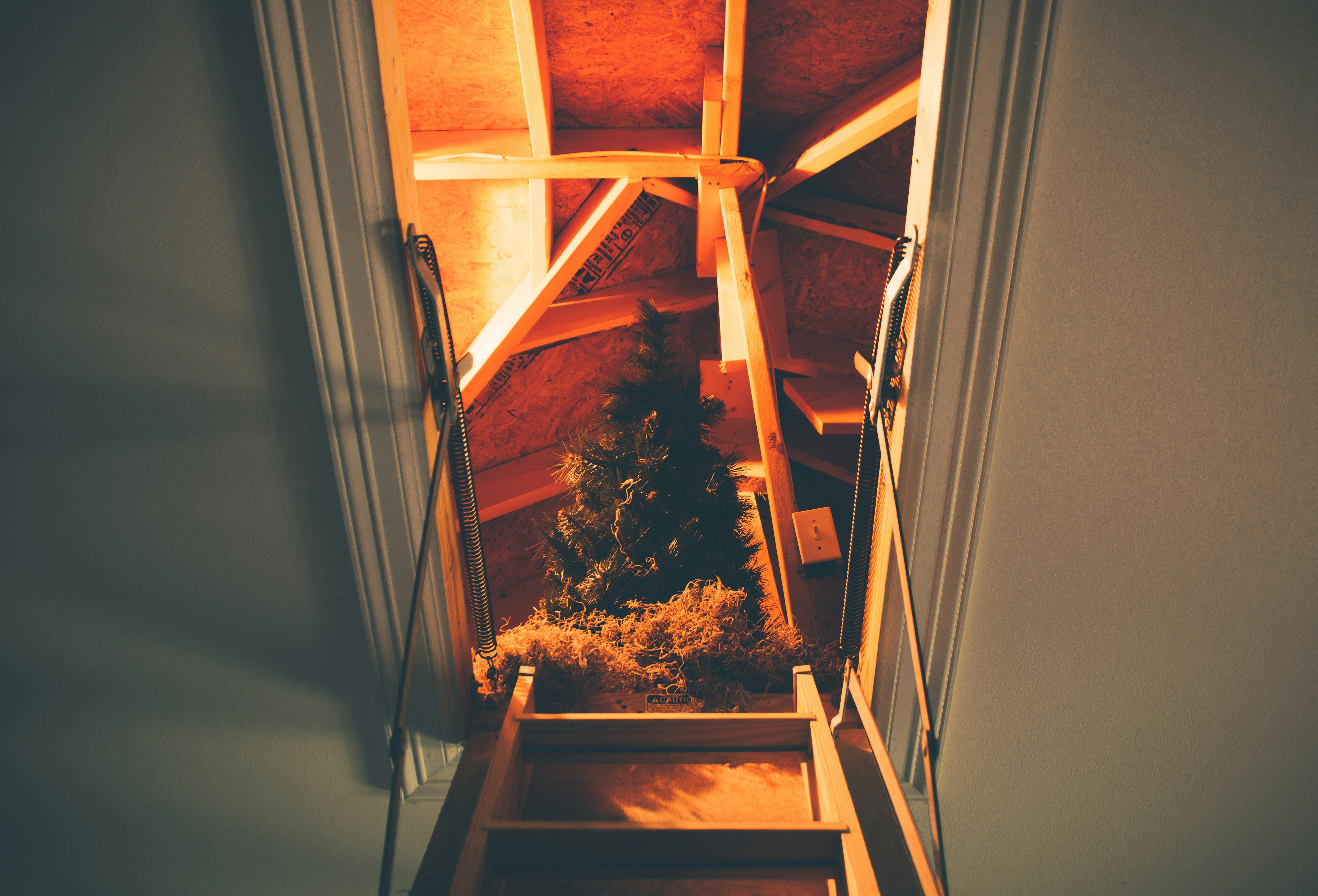 Un escabeau menant à l'intérieur d'une réserve au grenier | Source : Pexels