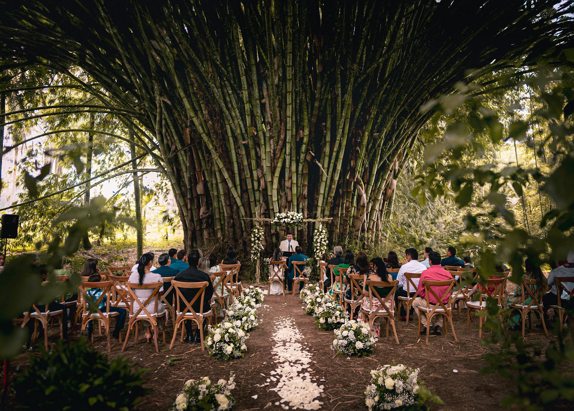 Une cérémonie de mariage en forêt, avec un grand bosquet de bambous en arrière-plan, et un chemin couvert de pétales de fleurs | Source : Pexels