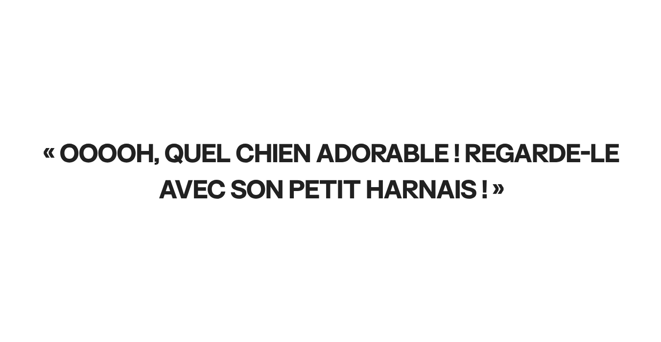 À titre d'illustration uniquement | Source : Ozdomedia