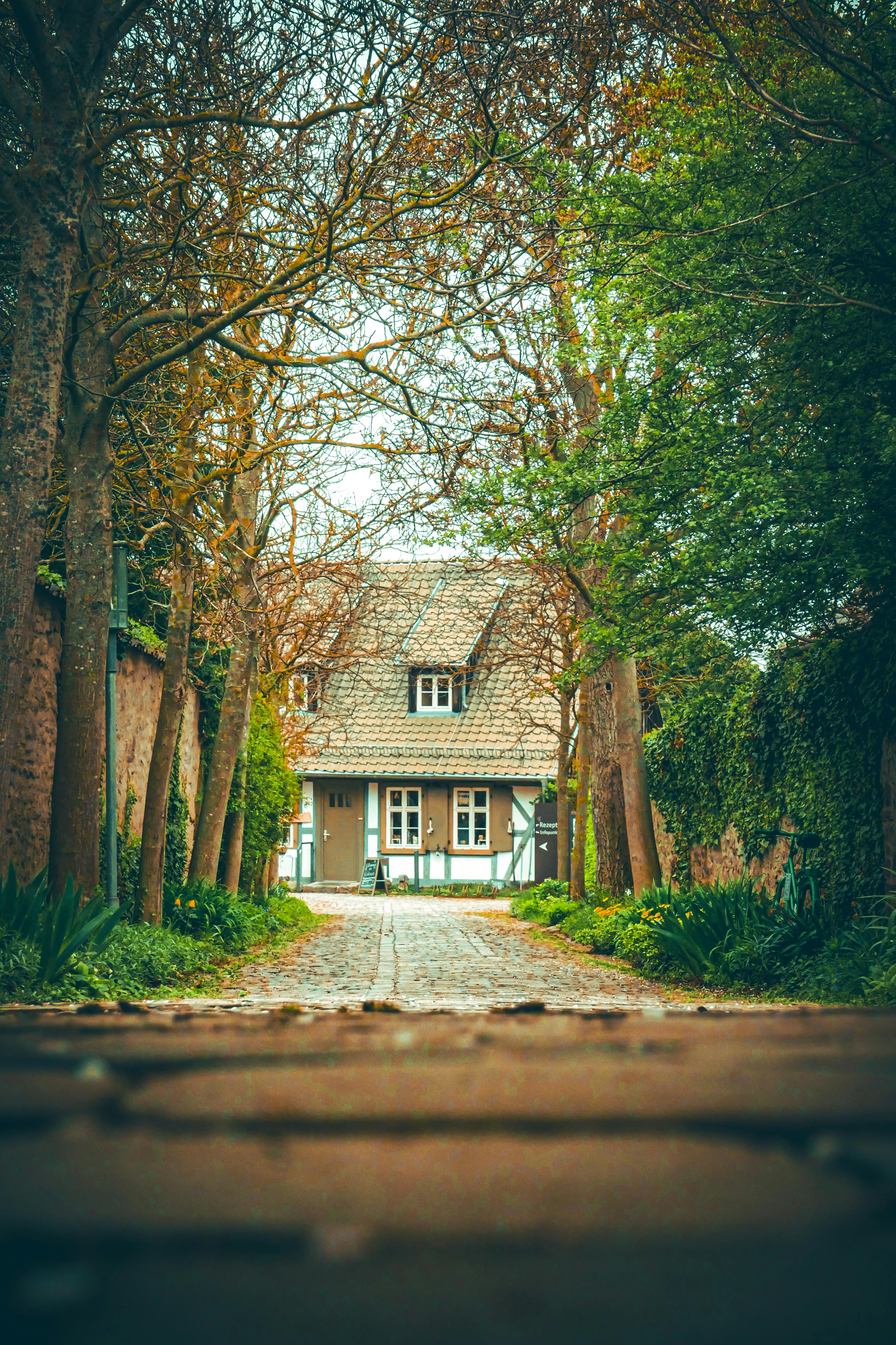 Un beau cottage dans un village serein | Source : Pexels