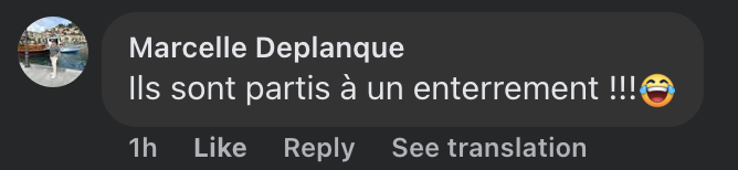 Commentaire d'internaute sur l'apparition d'Emmanuel et Brigitte Macron à Nice | Source : capture réseaux sociaux