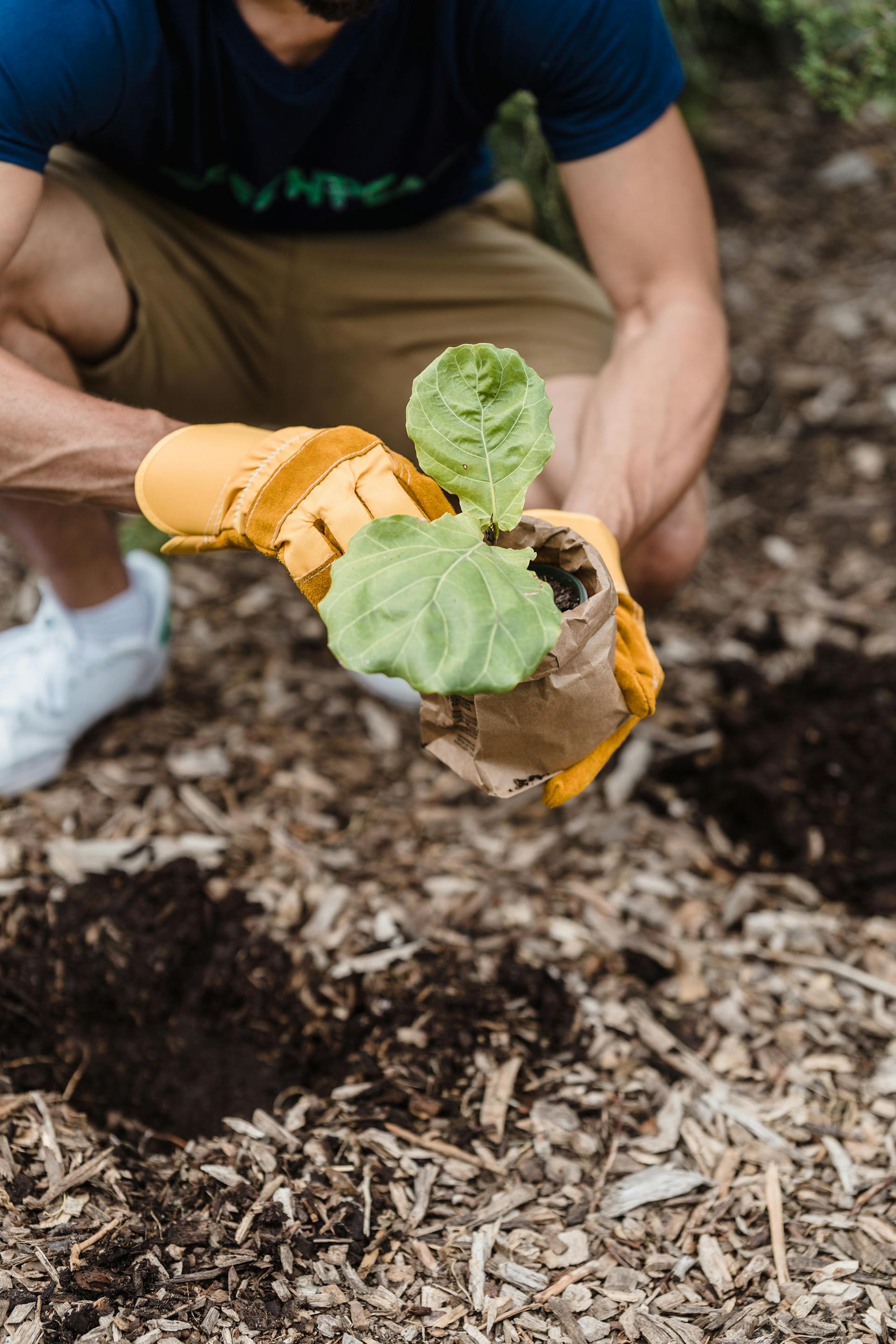 Un homme se préparant à planter un semis dans de la terre fraîche | Source : Pexels