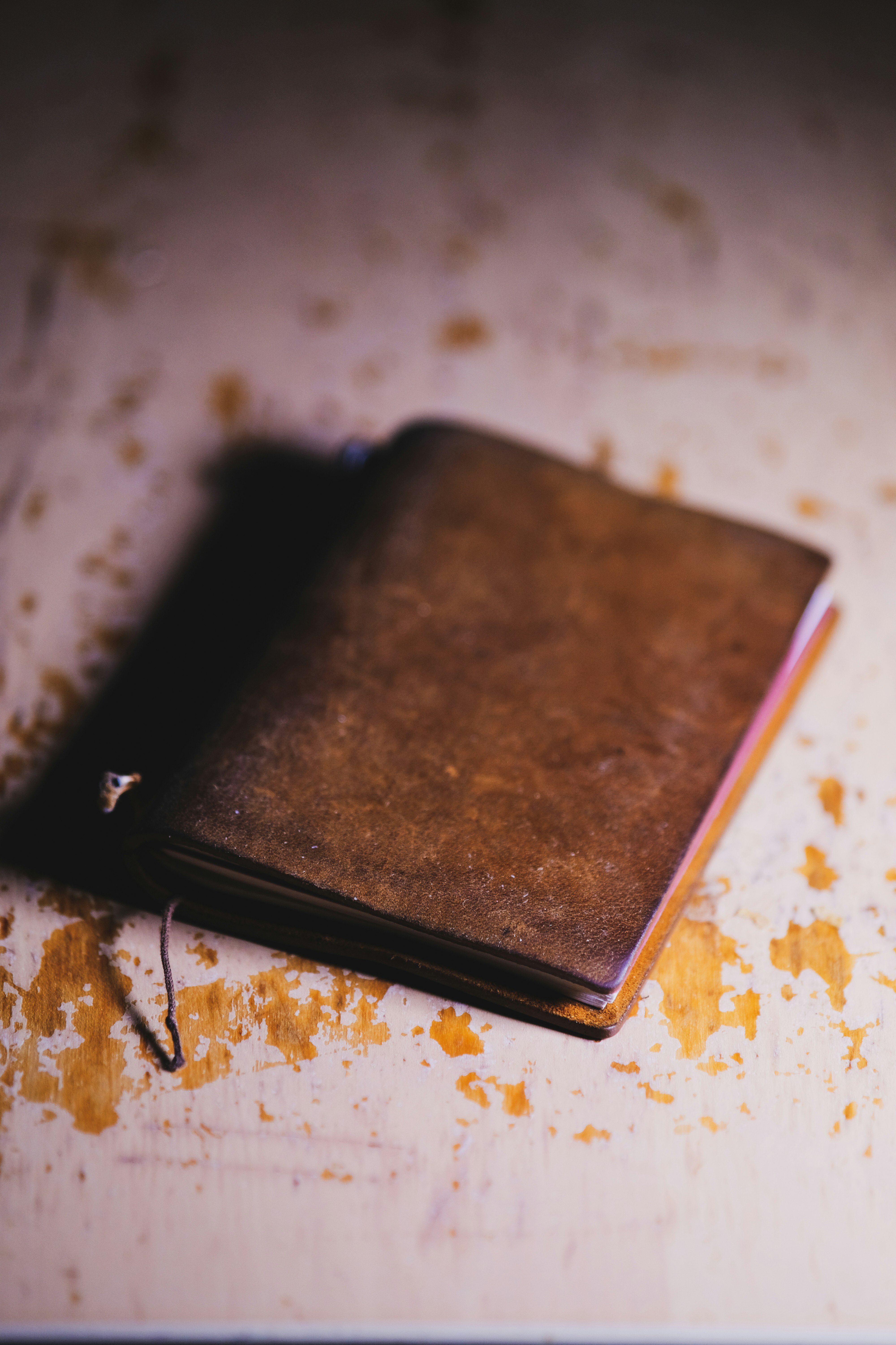 Un vieux journal intime | Source : Unsplash