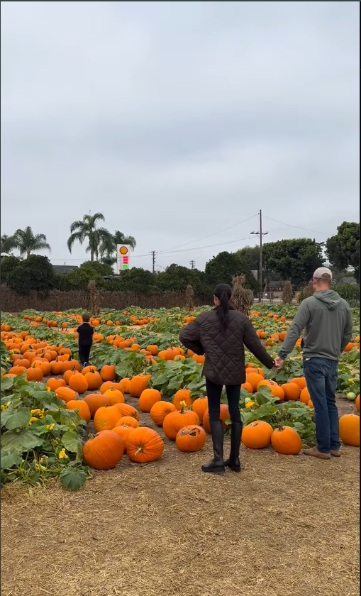 Le prince Archie, et Meghan Markle, et le prince Harry photographiés dans un champ de citrouilles, en date du 26 octobre 2025 | Source : Instagram/meghan