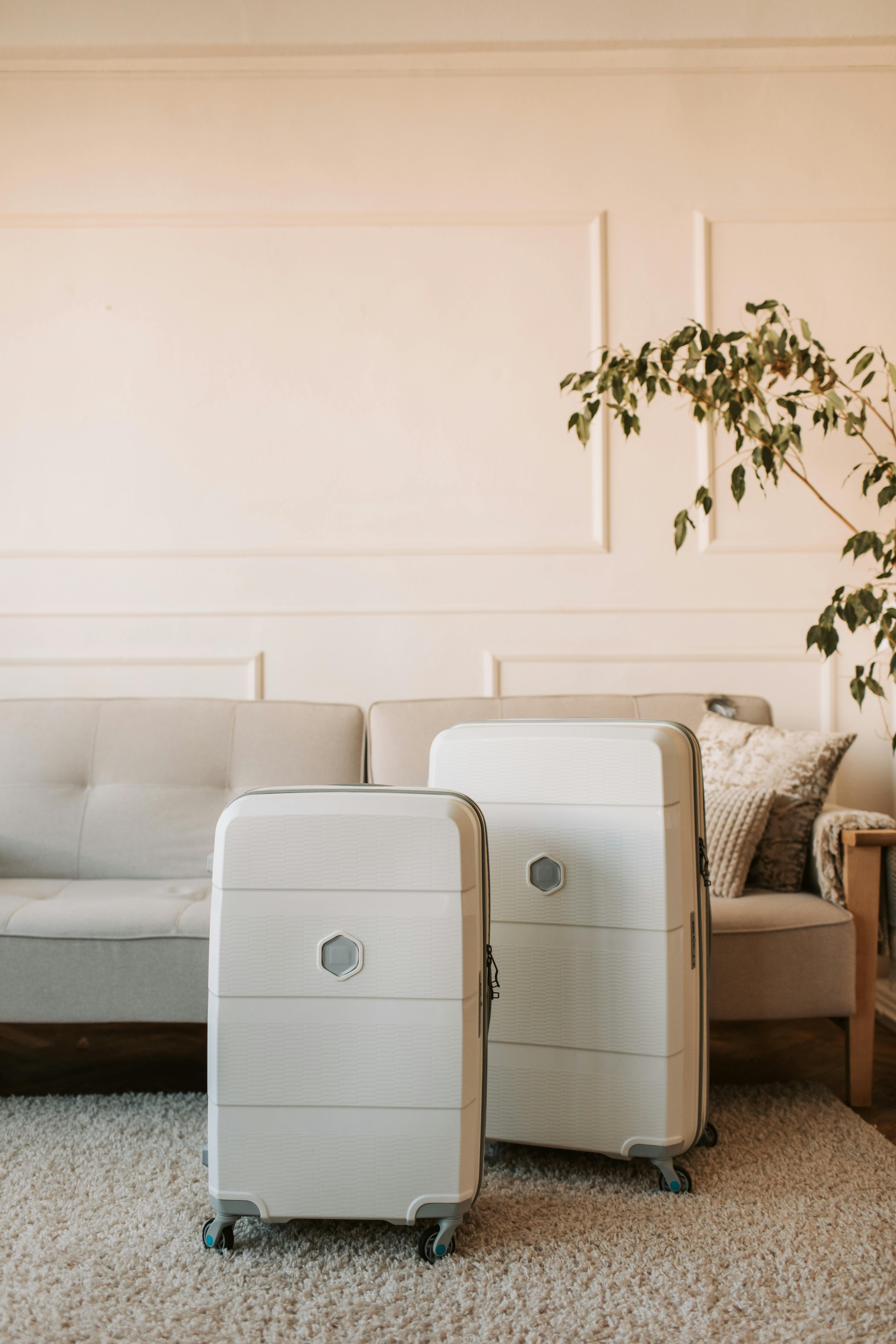 Des valises dans un salon | Source : Pexels