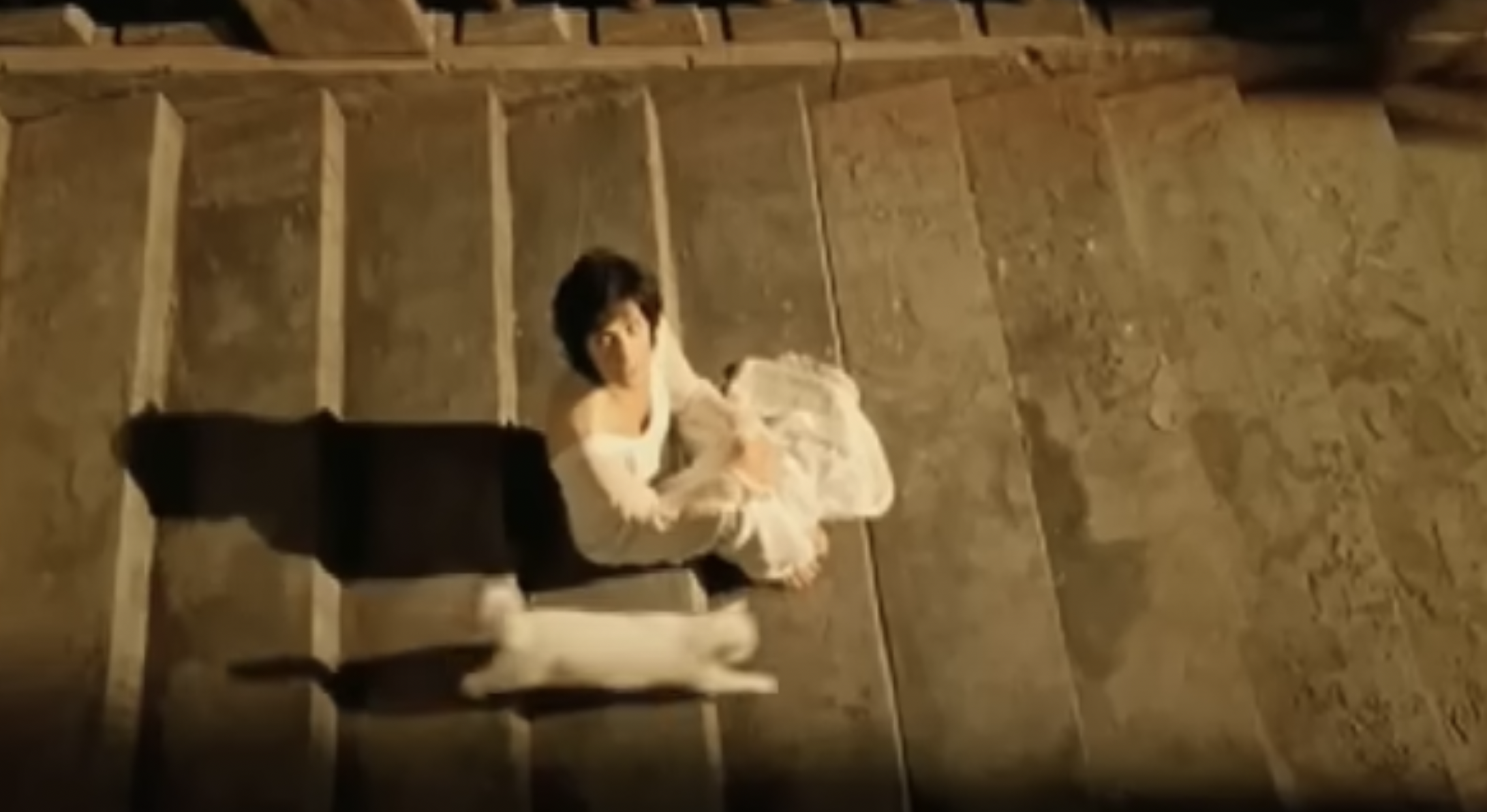 La célèbre chanteuse avec un chat dans une vidéo datant du 22 octobre 2008. | Source : YouTube/enyatv