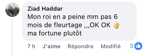 Capture d'écran du commentaire d'un internaute I Source : https://www.facebook.com/photo?fbid=1320863623410955&set=a.599051068925551