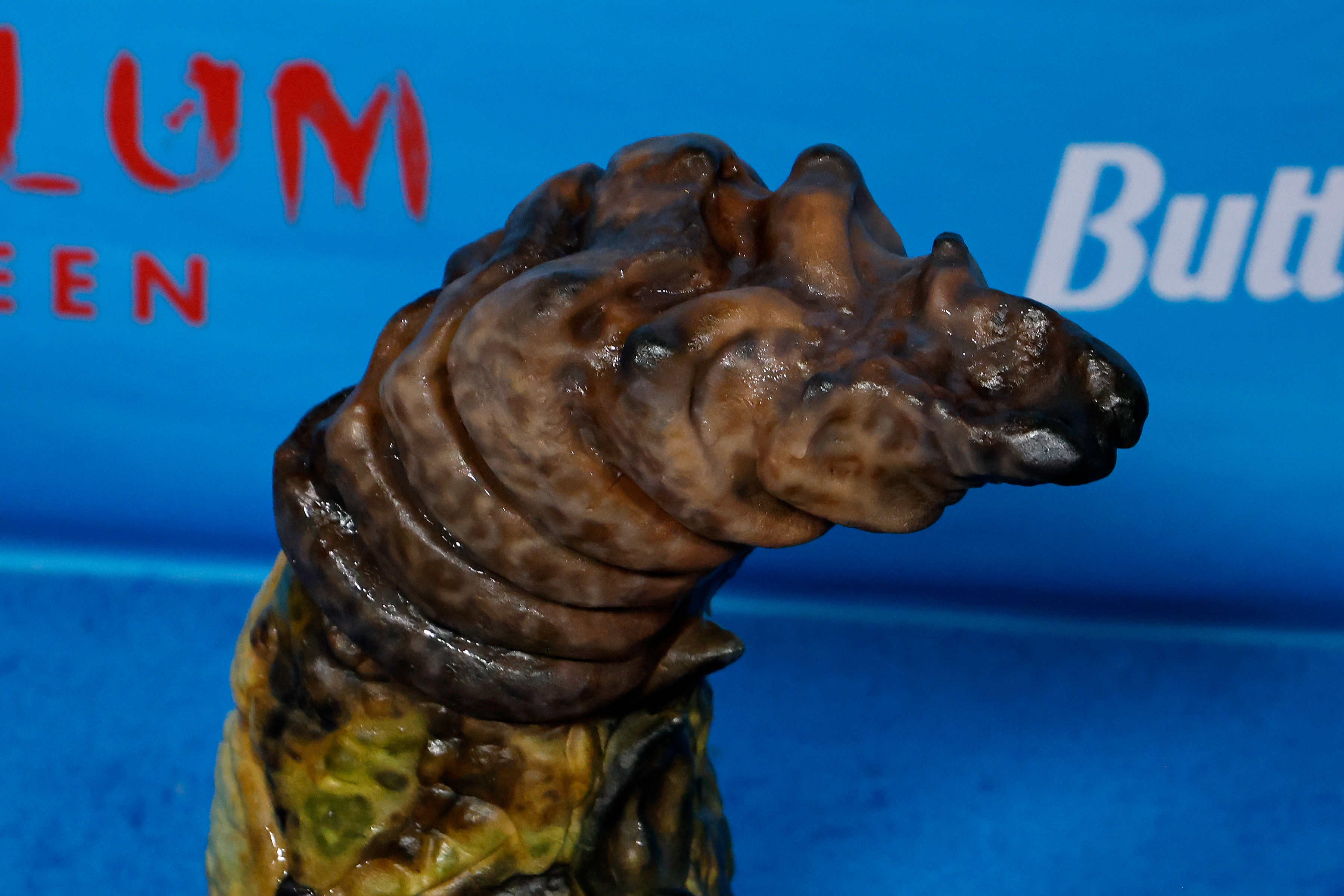 Gros plan sur la queue du costume d'Heidi Klum qu'elle portait pour sa fête d'Halloween 2025, le 31 octobre à New York. | Source : Getty Images