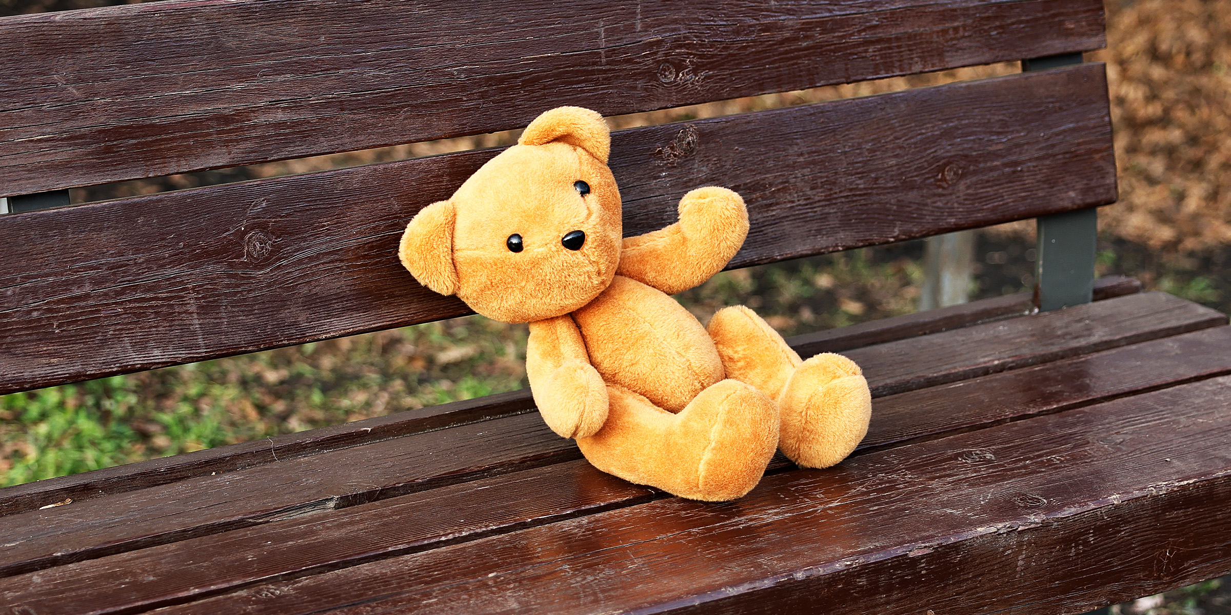Un ours en peluche sur un banc | Source : Shutterstock