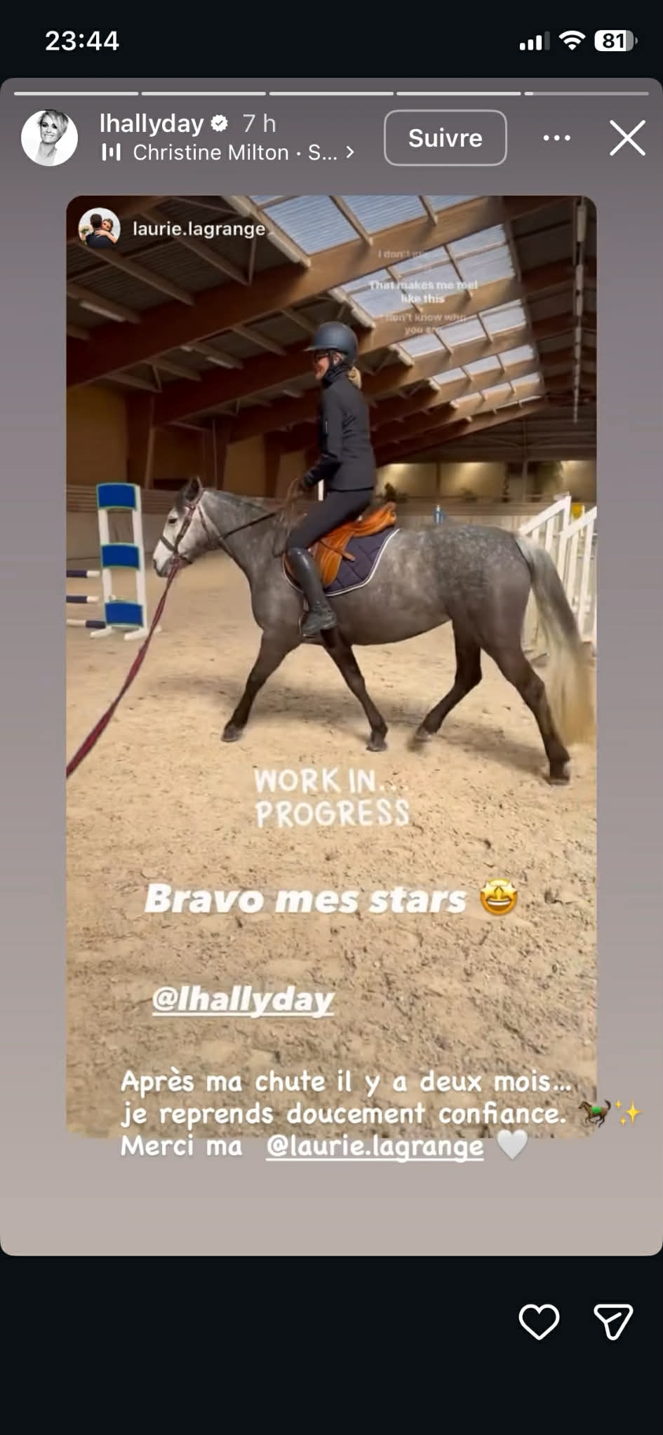 Capture d'écran I Source : https://www.instagram.com/lhallyday/?hl=fr