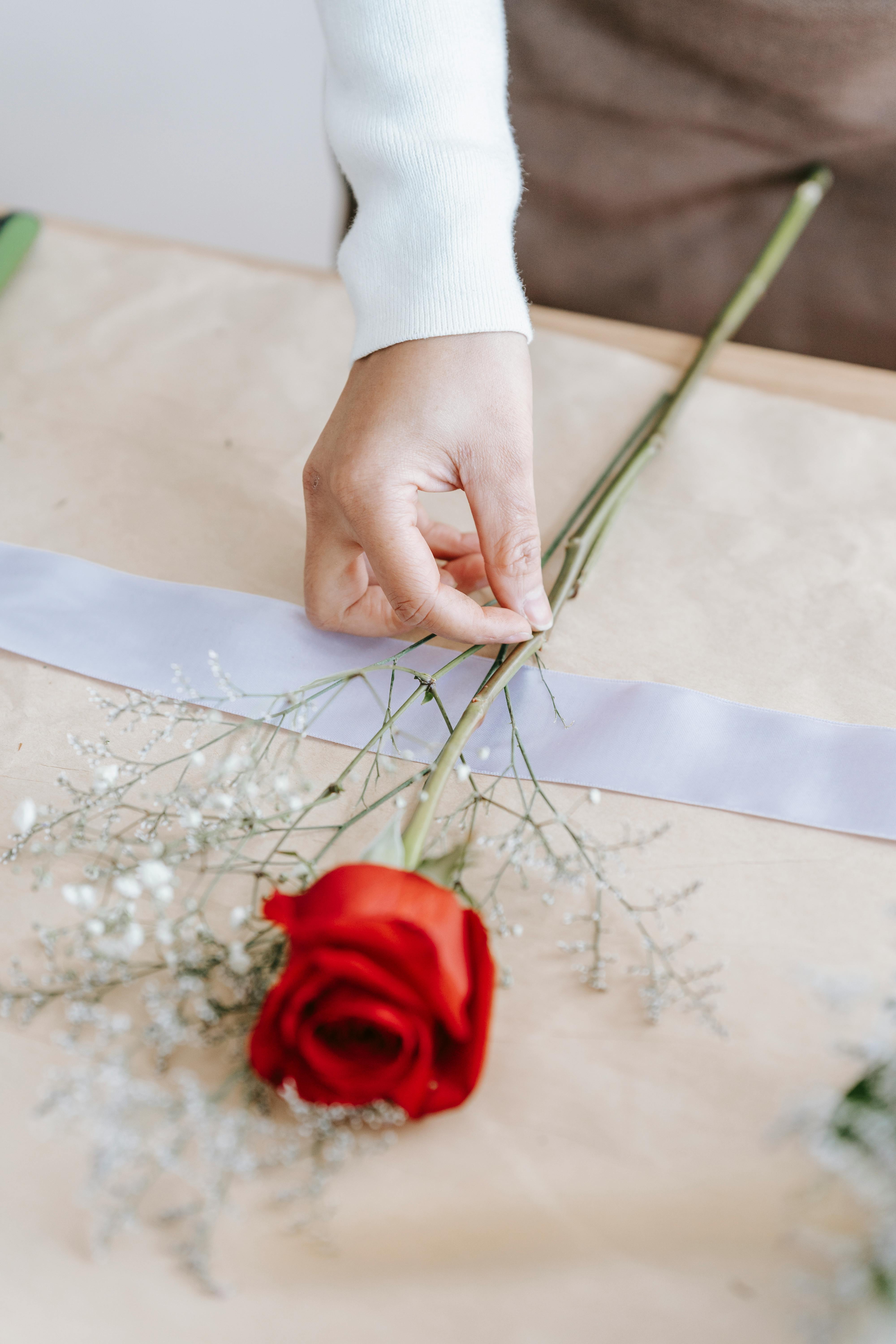 Une rose | Source : Pexels