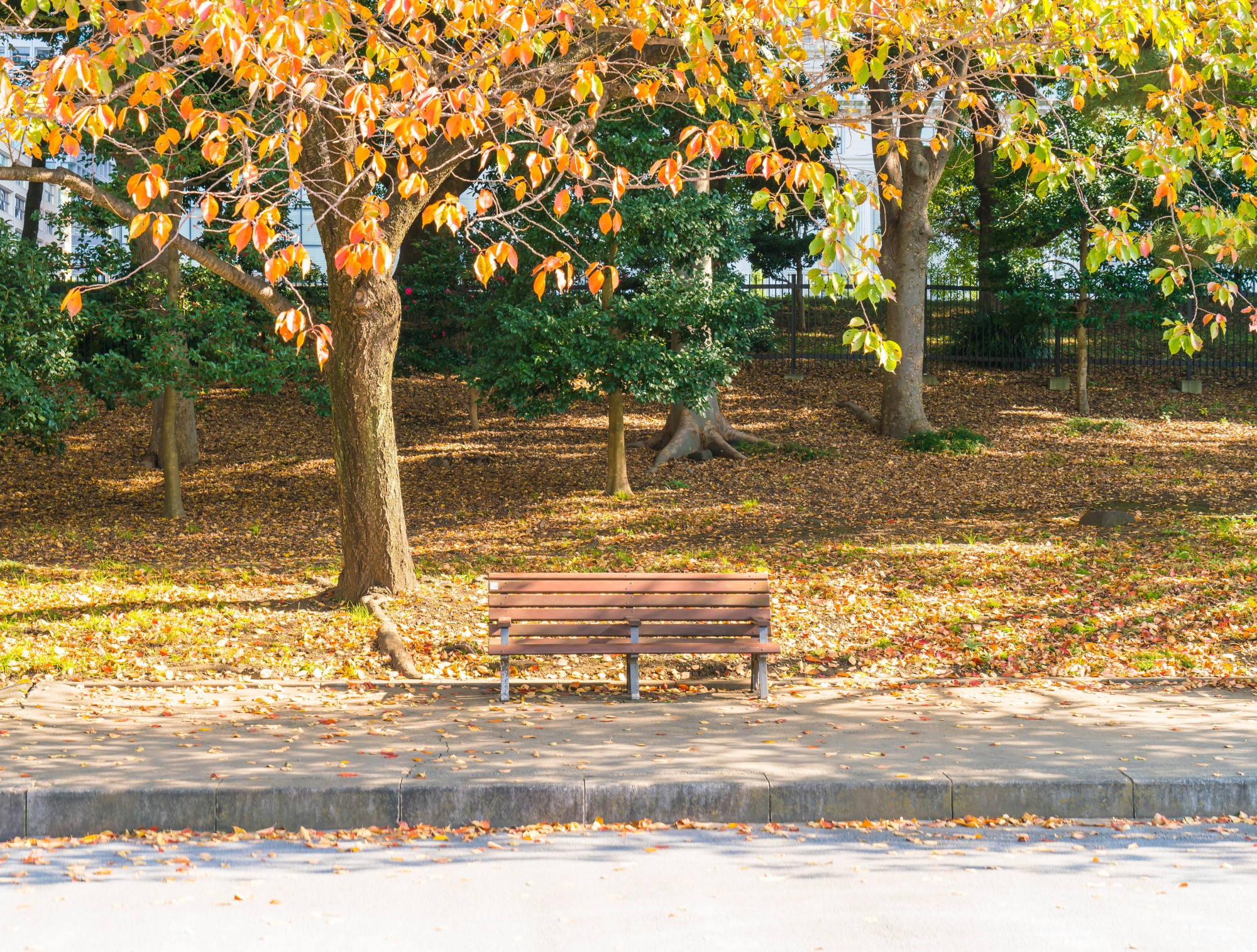 Un banc dans un parc en automne | Source : Freepik