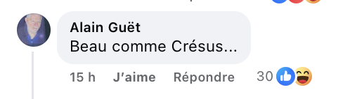 Capture d'écran du commentaire d'un internaute I Source : https://www.facebook.com/photo?fbid=1320863623410955&set=a.599051068925551