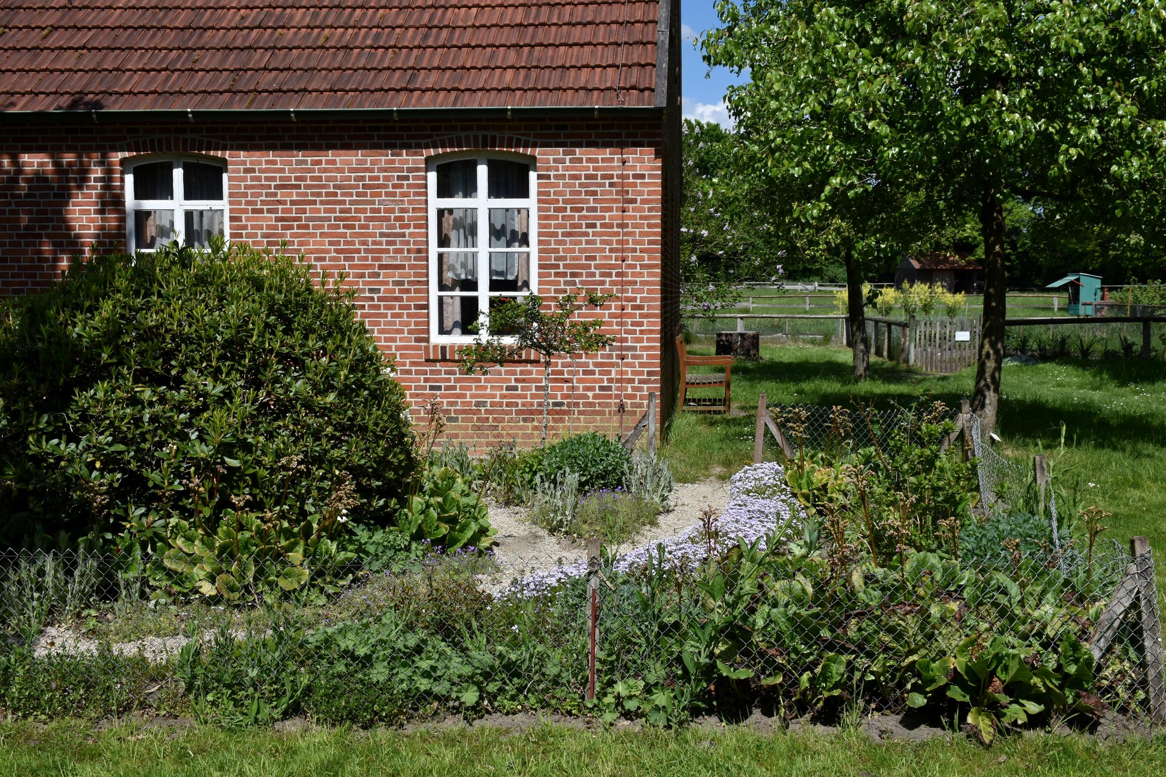 Un jardin potager | Source : Unsplash