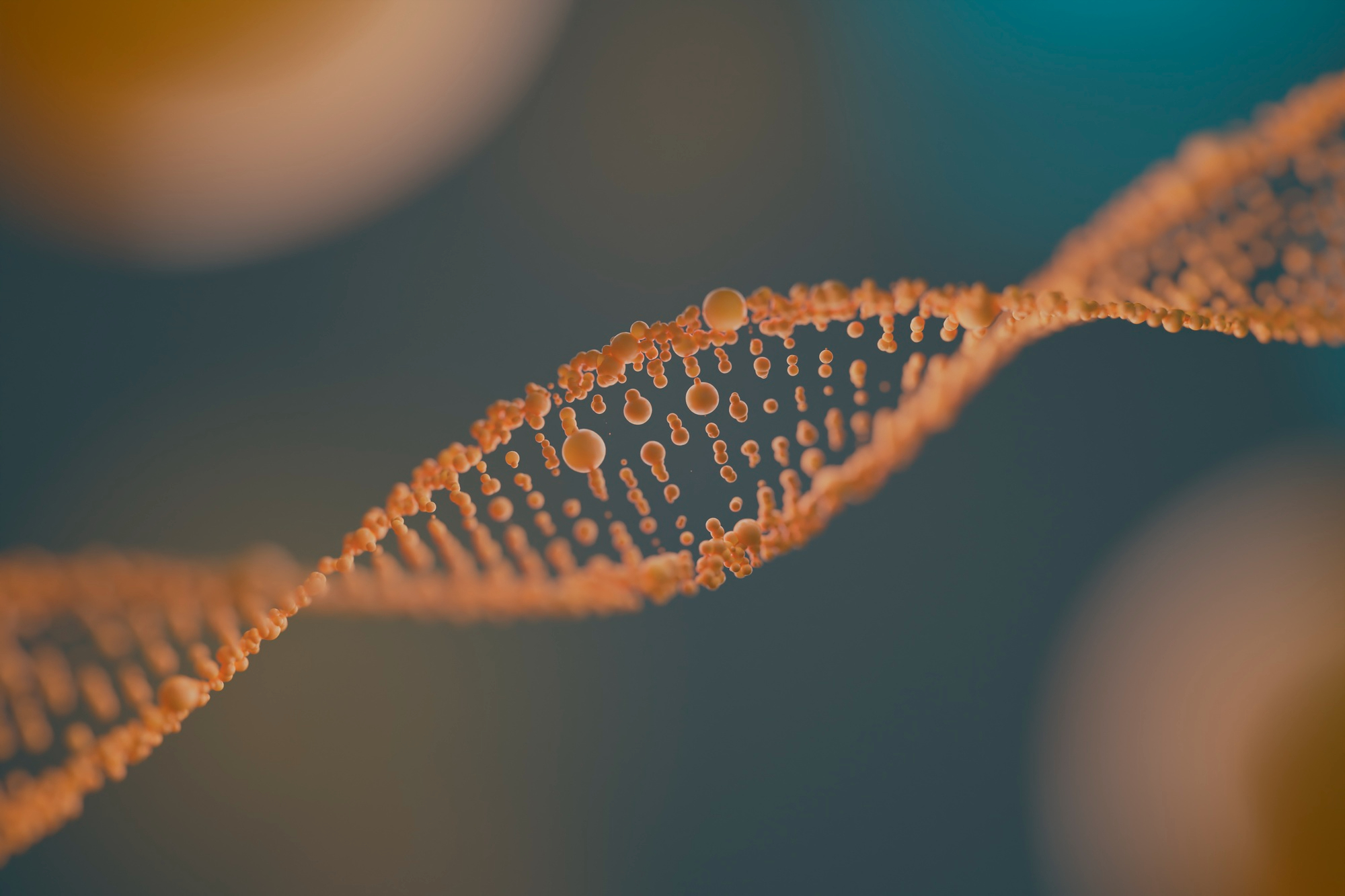 Représentation en 3D d'un brin d'ADN | Source : Freepik