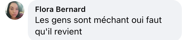 Capture d'écran du commentaire d'un internaute I Source : facebook.com/reel/1715765725710290