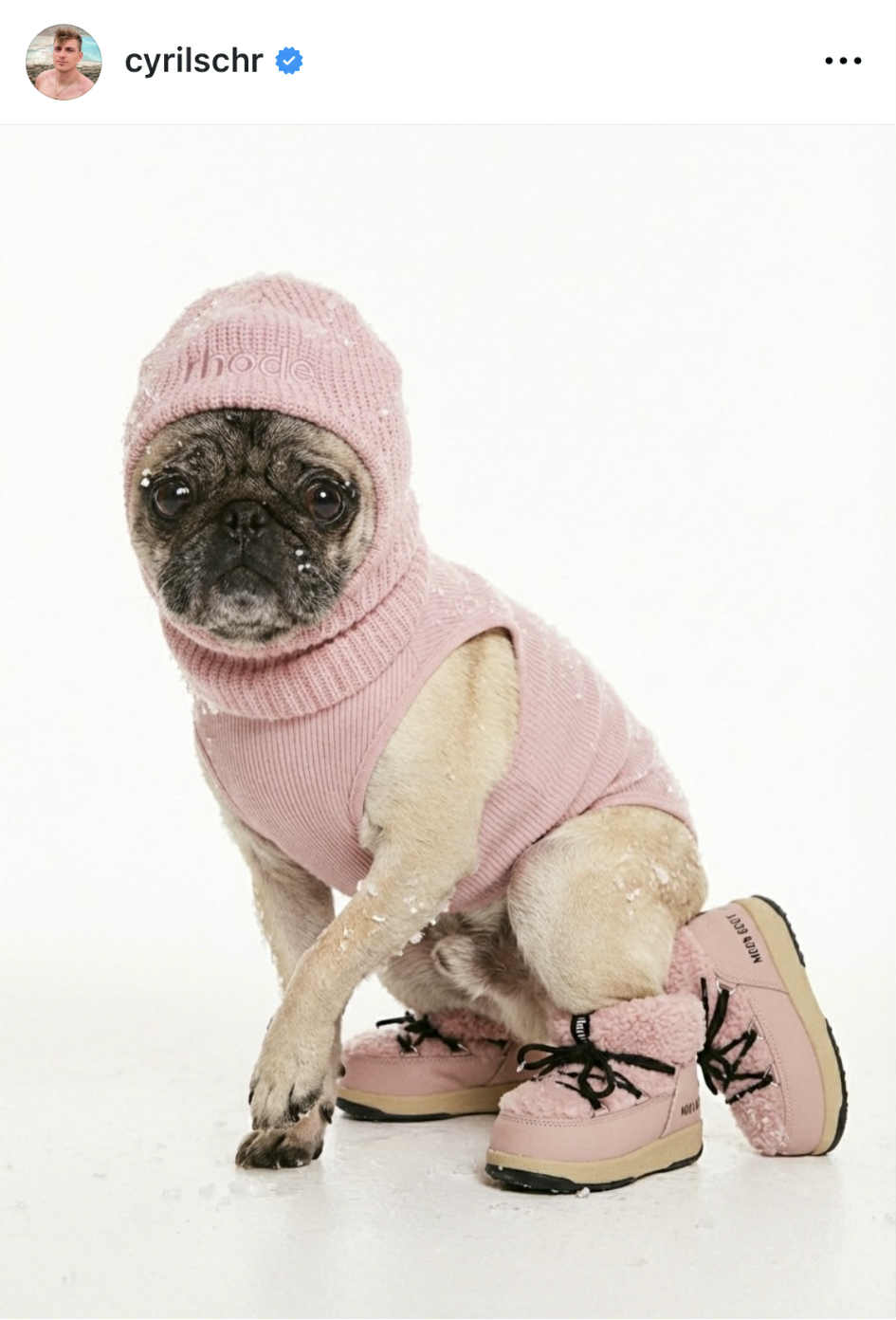 Capture d'écran d'Albert I Source : https://www.instagram.com/cyrilschr/?hl=fr