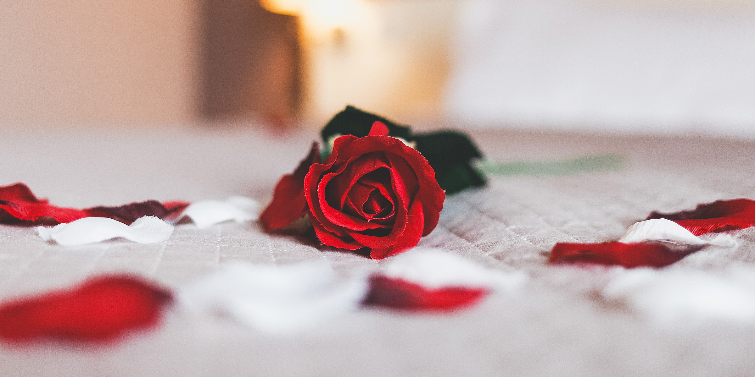 Une rose rouge sur un lit | Source : Shutterstock