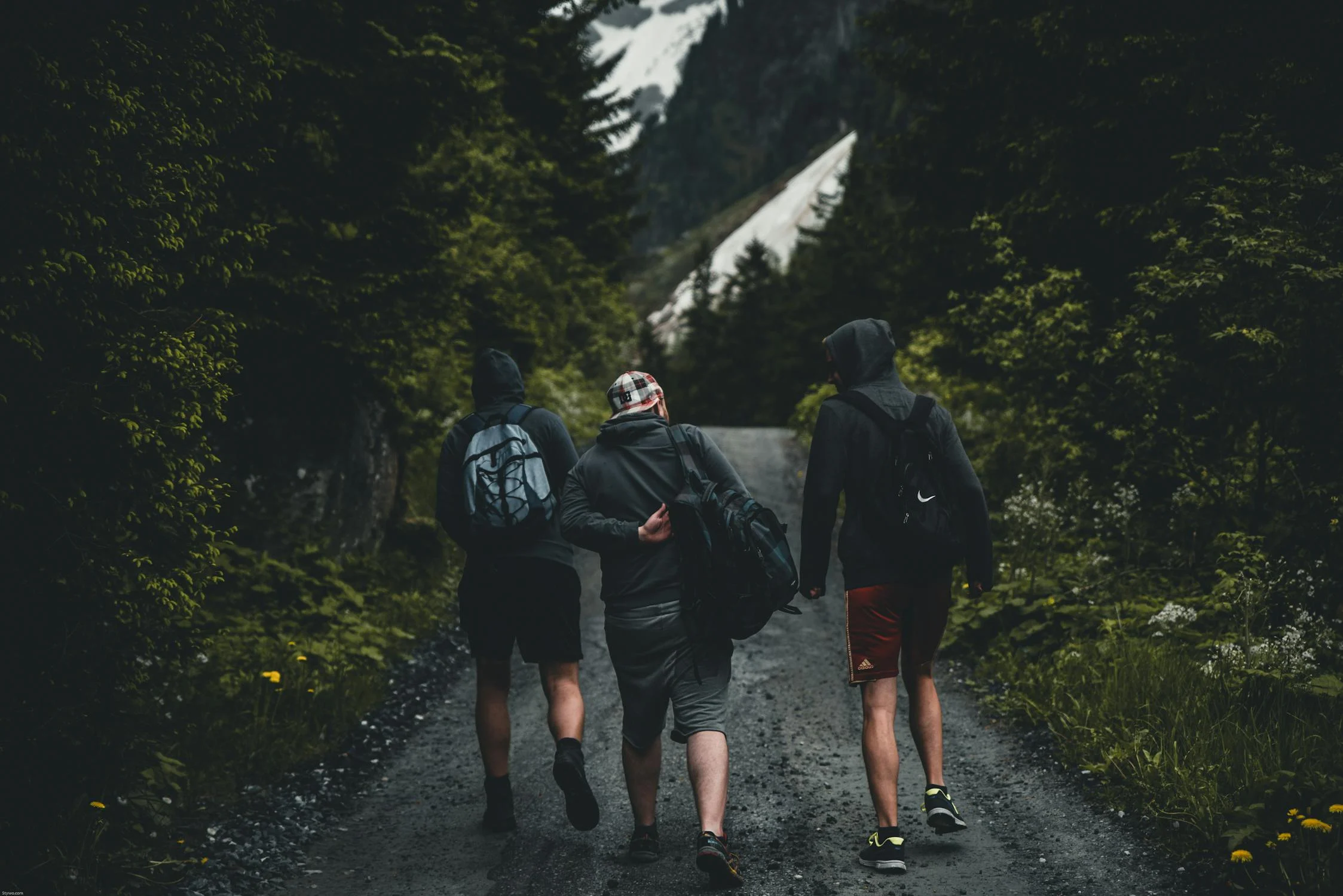 Des amis marchant dans une forêt | Source : Pexels