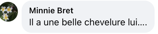 Commentaire d'une internaute sur la ressemblance entre Emmanuel et Laurent Macron | Source : Facebook/Le Figaro