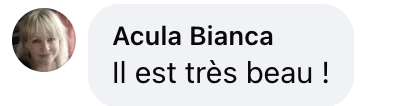 Commentaire d'une internaute sur le look d'Alexandre Grimaldi lors du défilé Jacquemus | Source : Facebook/Gala