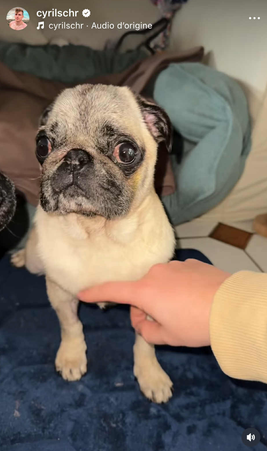 Capture d'écran d'Albert I Source : https://www.instagram.com/cyrilschr/?hl=fr