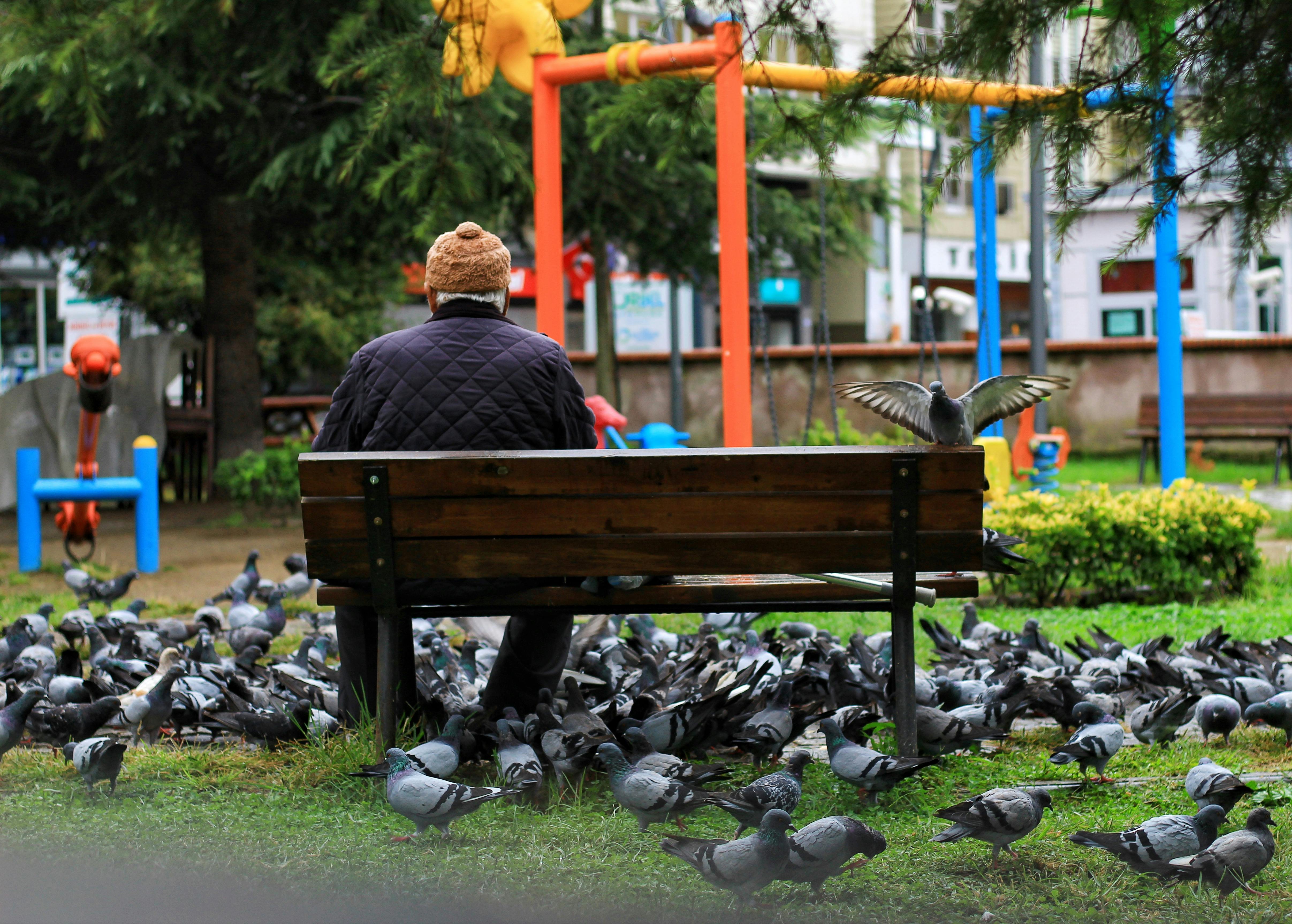 Homme assis sur un banc dans un parc | Source : Pexels