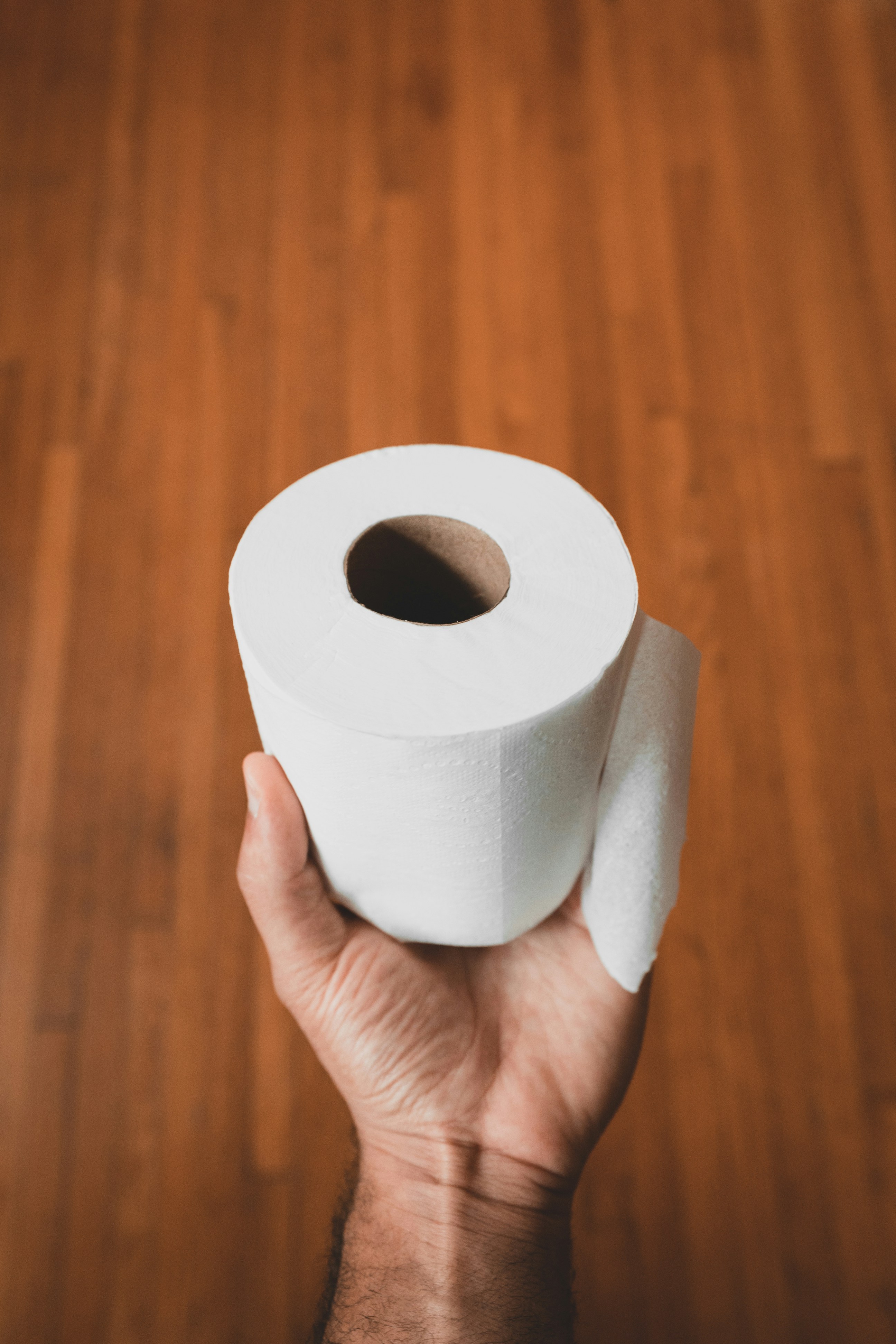 Une personne tenant un rouleau de papier toilette | Source : Unsplash