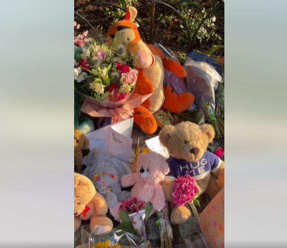 De nombreuses peluches et lettres placées à l'endroit où se trouvait l'arbre | Source : Facebook/YourSouthend