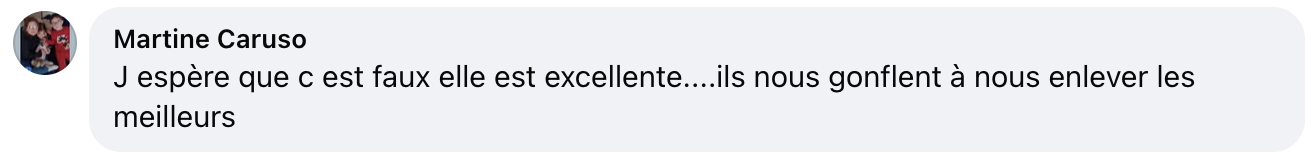 Commentaire d'un internaute | Source : Facebook/Le Parisien