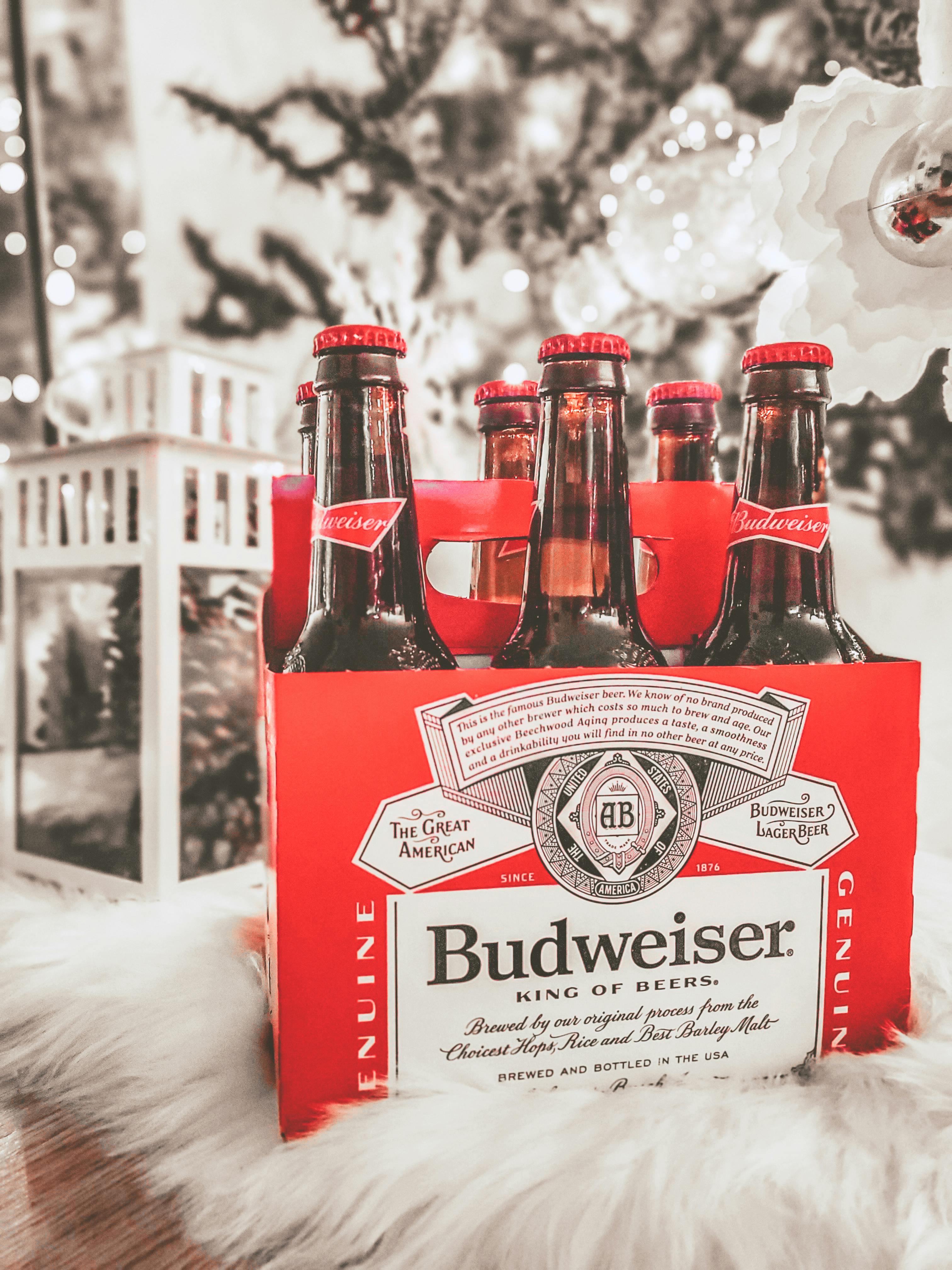 Un pack de six bières | Source : Pexels