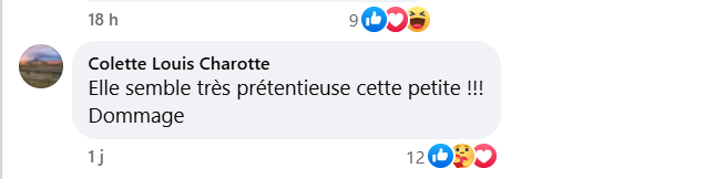 Commentaire d'un internaute | Source : Facebook/Paris Match