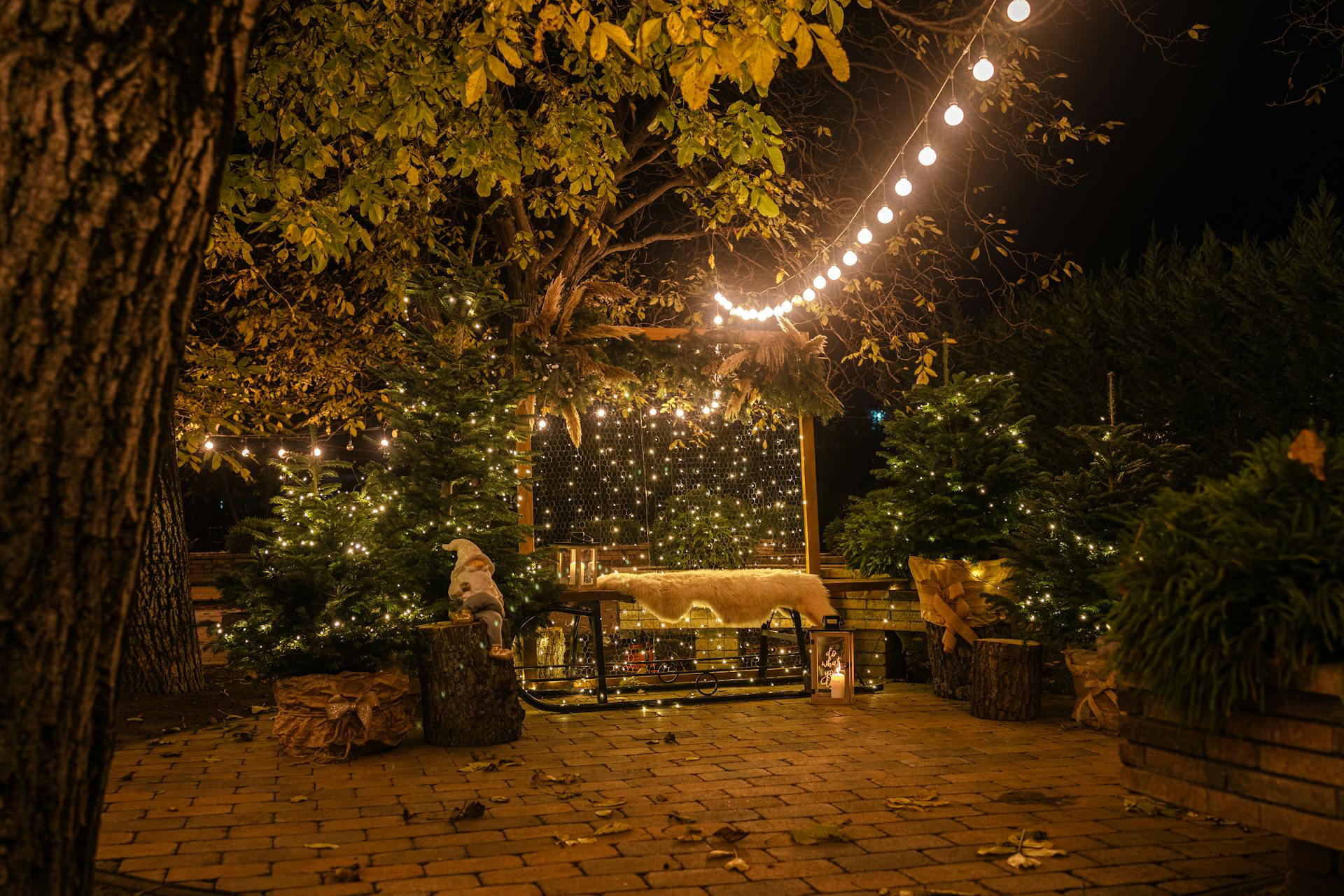 Un patio avec des lumières de Noël | Source : Pexels