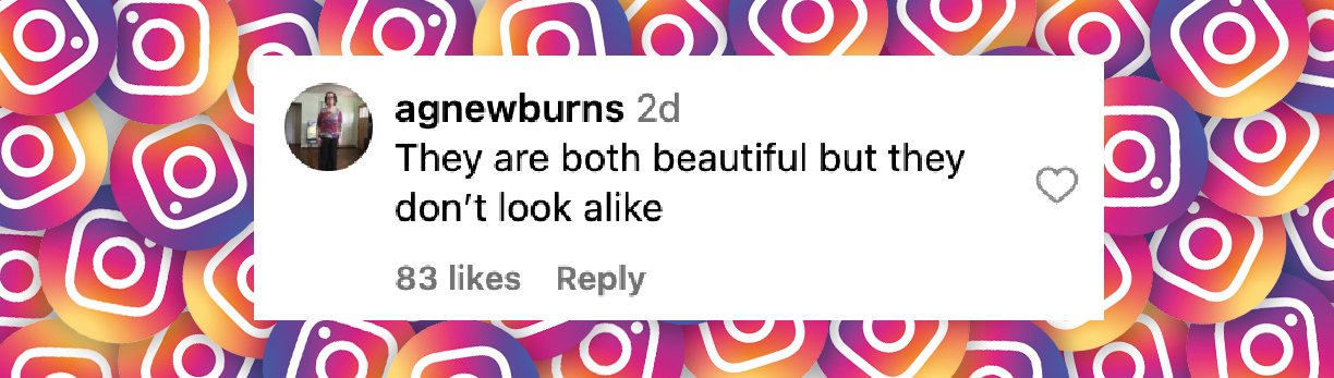 Commentaire d'un netizen sur l'apparition de Heidi et Leni Klum à New York en mai 2025 | Source : Instagram/people